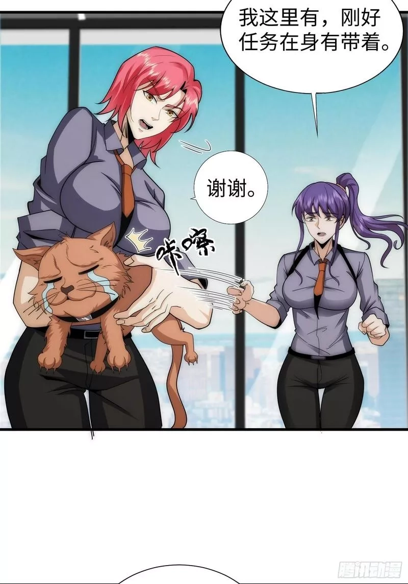 我真的好怕啊！,042 审判猫咪,第31张